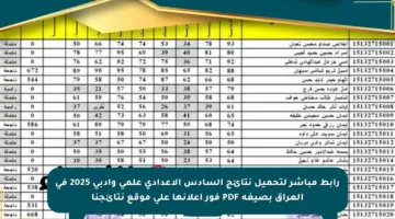 رابط مباشر لتحميل نتائج السادس الإعدادي علمي وأدبي 2025 في العراق بصيغة PDF فور إعلانها على موقع نتائجنا